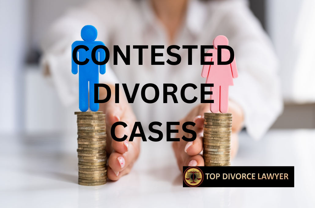 CONTESTED_DIVORCE_CASES