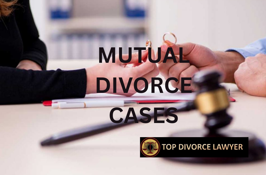 Divorce_Cases_Top_Divorce_Lawyer